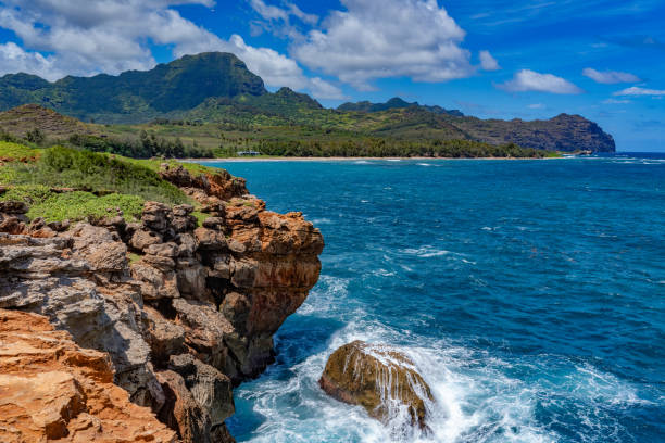 istock Coastline in Hawaii Kauai island 1683754448