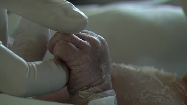 Premature Newborn Infant Holding the Finger of a Nurse in Nursery. Closeup.