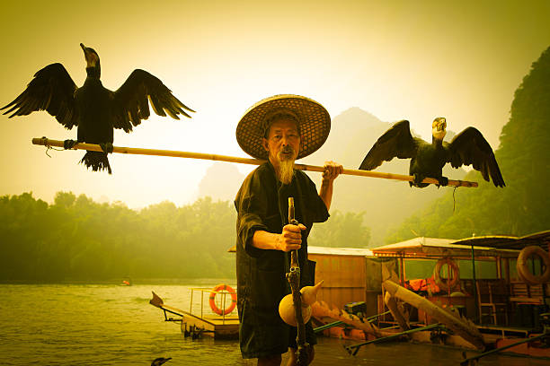 istock Cormorant Fisherman 168383400