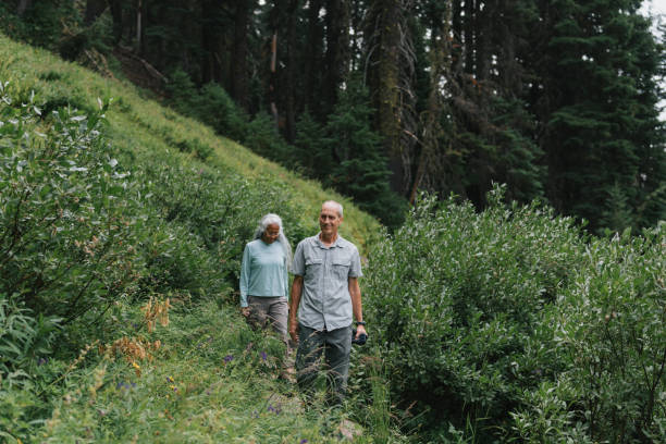 istock Loving senior couple hike through lush forest 1683860193