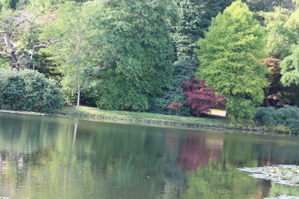 istock Sheffield park garden 1683860194