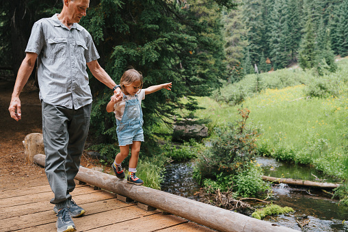 Loving Caucasian grandfather holds hand with three year old multiracial granddaughter, helping her walk across a log over a small stream while hiking near Crater Lake in Oregon.