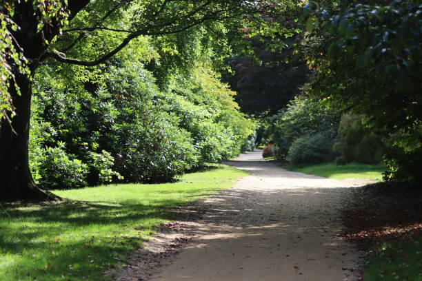istock Sheffield park garden 1683886862