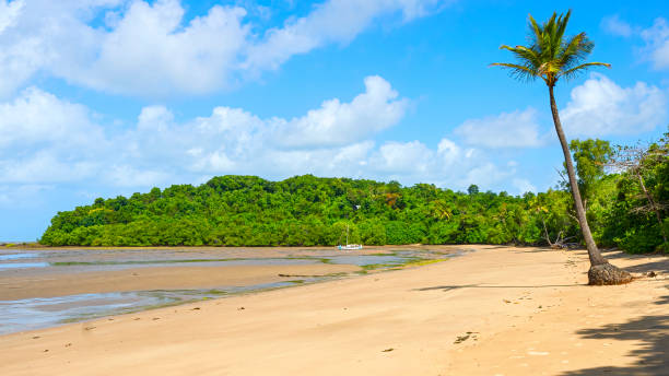 istock Mission Beach Australia - Low Tide 1683915837