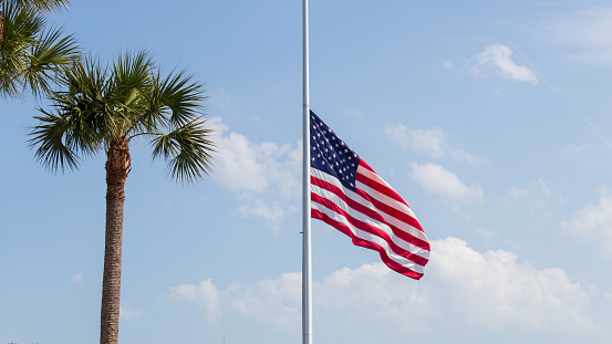 An American flag, United States of America, USA, the stars and stripes, is seen on a partly cloudy, sunny day at half-staff, next to a palm tree.