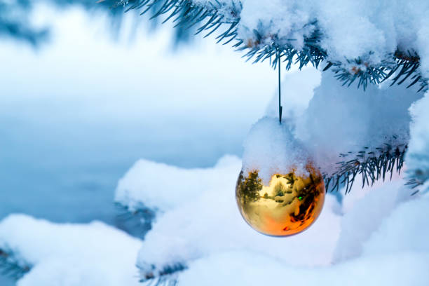 istock Bright Gold Ornament Hangs From Snow Covered Christmas Tree 168393039