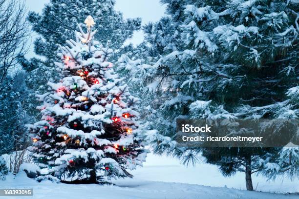 Brightly Lit Snow Covered Christmas Tree In Snowstorm Stock Photo - Download Image Now