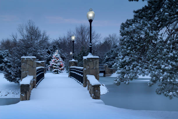 A beautiful scene of a brightly lit Christmas Tree glowing in the early morning light of this snowy park during the holiday season. The snow covered bridge, street lamps, and frozen lake make for a beautiful and classic Holiday illustration.