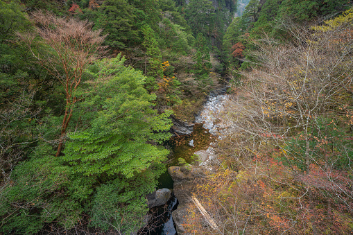 Omokawa Valley is famous valley in Ehime prefecture in Japan