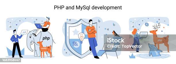 Php And Mysql Development Software Website Developer Programmer Service ...