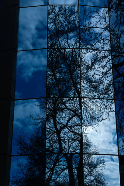 istock Abstract reflections of trees and clouds on windows 1684001519
