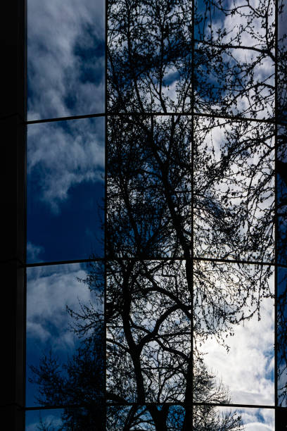 istock Abstract reflections of trees and clouds on windows 1684001523