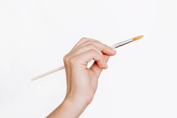 istock A female hand holding a paintbrush isolated on a white background. Mockup 1684142474