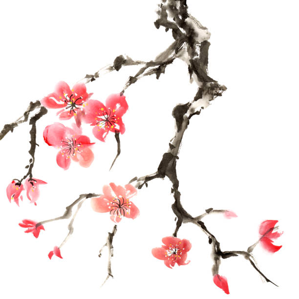 plum blossom Chinese traditional ink painting of flowers, plum blossom, isolated on white background. japanese landscape stock illustrations