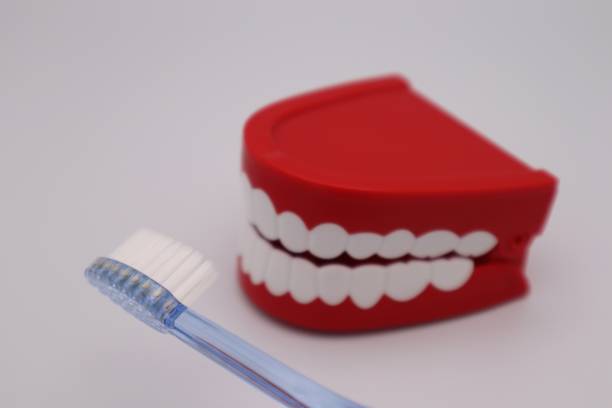 istock Image of dental care 1684155682