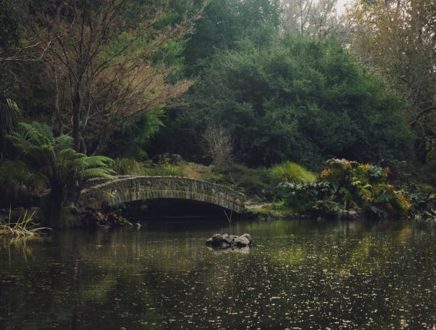 lush forest with a bridge crossing over a pond with a duck and reflection.