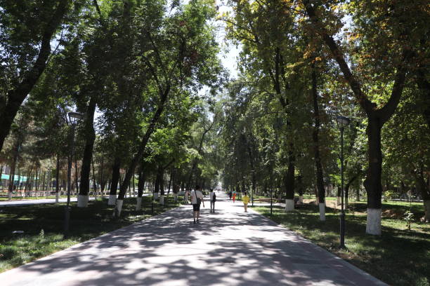 istock People walking in the park in Beijing, China. 1684193474