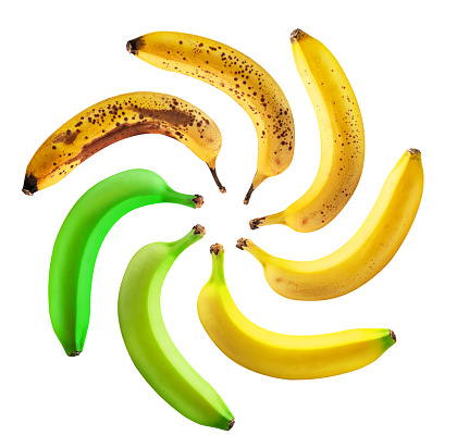 Set of banana fruits in different ripening stages isolated on white background. Food concept. File contains clipping paths.