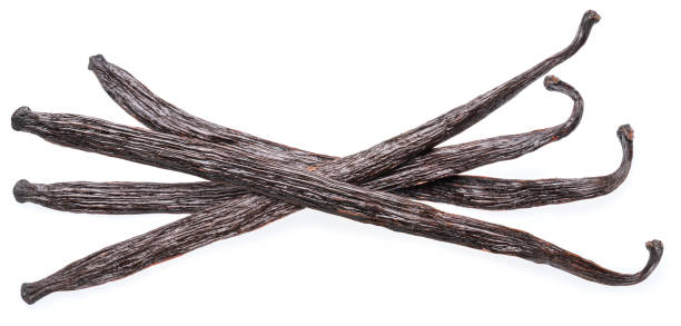 istock Dry vanilla fruit beans or vanilla sticks on white background. File contains clipping path. 1684199970