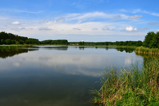 Drone view of Linford Lakes Nature Reserve in Milton Keynes, England