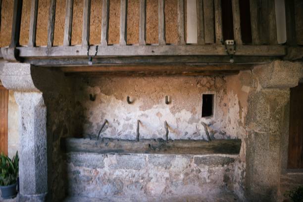 istock horse trough of the Lluc monastery 1684222691