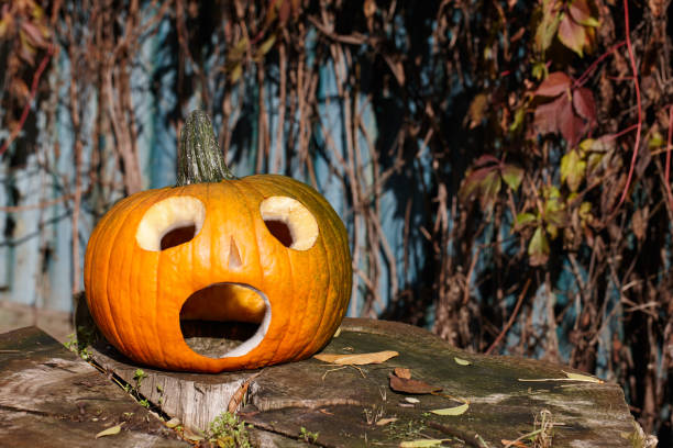 istock Surprised jack o'lantern made from big orange pumpkin 1684226968