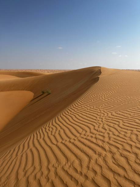 Wahabi Sands stock photo