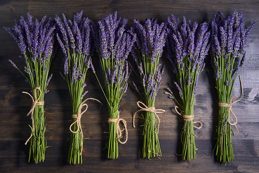 Bouquets of freshly picked fragrant lavender flowers on a wooden board