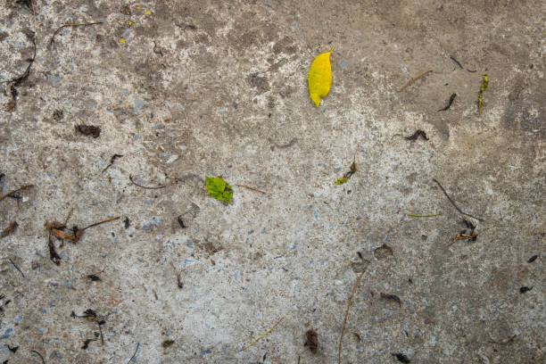 istock Take photos from anywhere from different perspectives. 1684268719