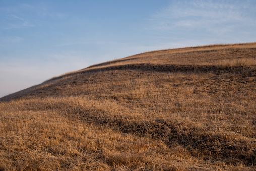 brown grass on the hill at autumn