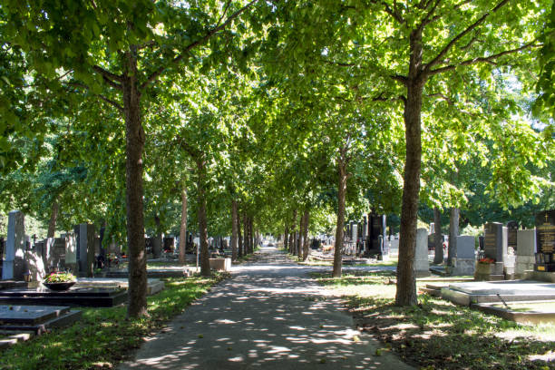 Vienna, Austria. 12 Aug 2023: Simmering Cemetery in Vienna, an ancient burial site dating back to Roman times, features a captivating blend of history, architecture, and solemn beauty.