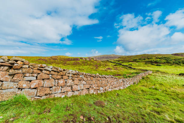 Dry Stone Wall in a Pasture in Scotland