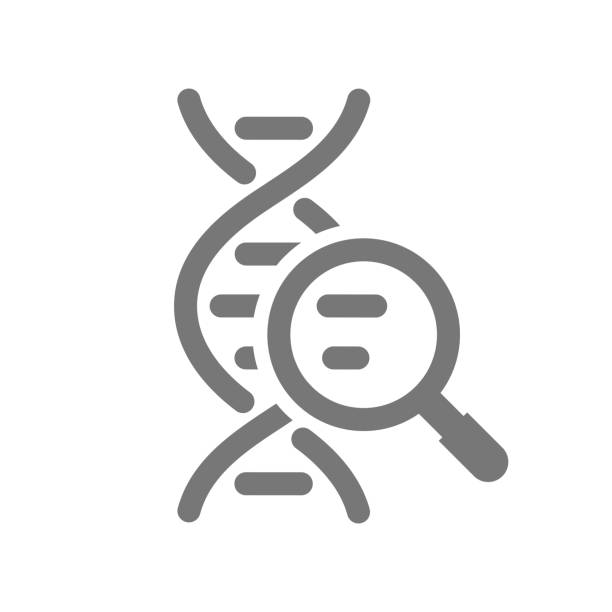 DNA sequence with magnifying glass vector icon Genetic research, engineering and bioengineering symbol genetics icon stock illustrations