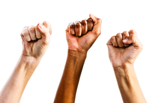 Three clenched female fists are raised in defiance or triumph by supporters or defenders of women's rights. Isolated on white. 