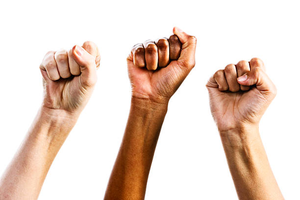 Three clenched female fists triumphantly supporting women's rights Three clenched female fists are raised in defiance or triumph by supporters or defenders of women's rights. Isolated on white.  raised fist photos stock pictures, royalty-free photos & images