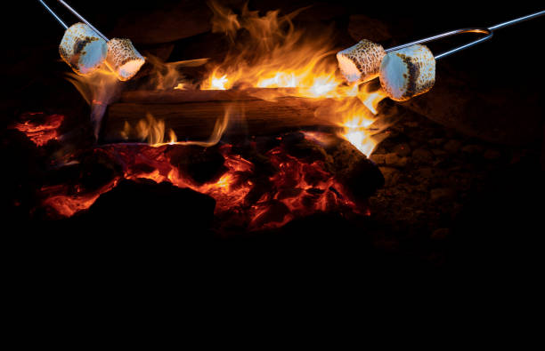 istock Marshmallows in the flames of a campfire 1684460247