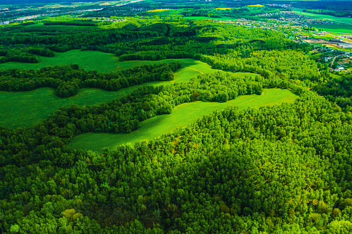 Drone aerial landscape. Green forest