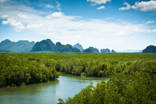 Landscape View Of The Karst Rock Formations And Mangrove Forests In Phang Nga Bay, Thailand