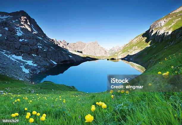 Alpin Озеро Gufelsee В Тирольавстрия — стоковые фотографии и другие картинки Долина Леха - Долина Леха, Trollius, Австрия