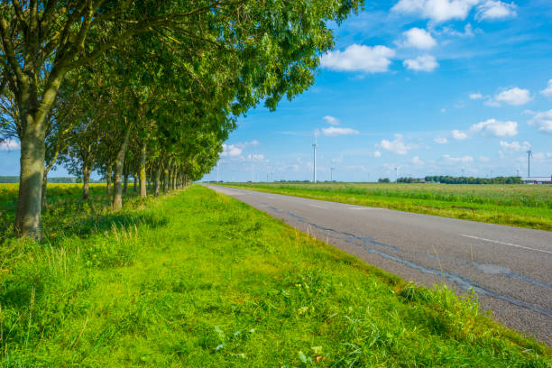 istock Trees and wind turbines in an agricultural field in sunlight at fall 1684479558