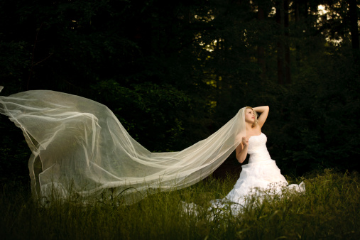 bride with long veil in forest posing.