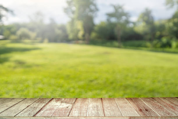 istock Wooden planks against soft focus meadow background. 1684509508
