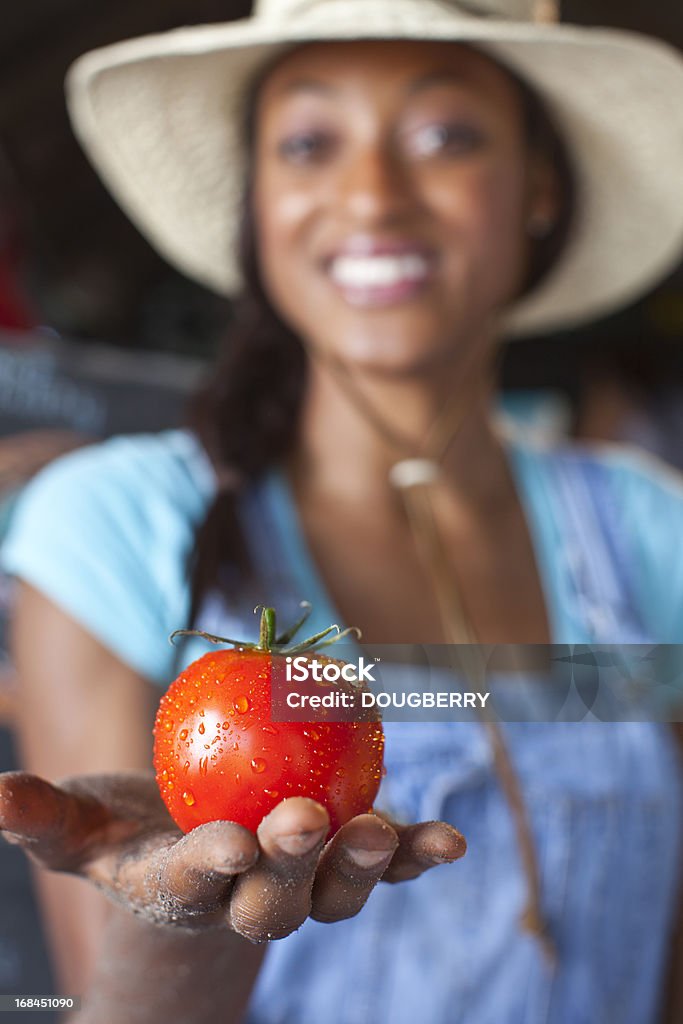 Tomate orgánicos - Foto de stock de 30-39 años libre de derechos