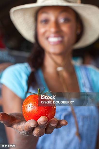 Tomate Orgánicos Foto de stock y más banco de imágenes de 30-39 años - 30-39 años, Africano-americano, Afrodescendiente