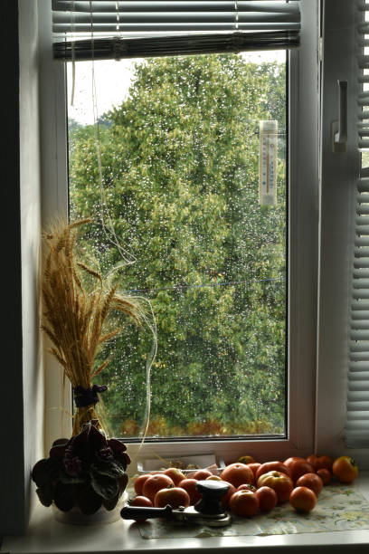 istock A window with raindrops visible on the glass. 1684516143