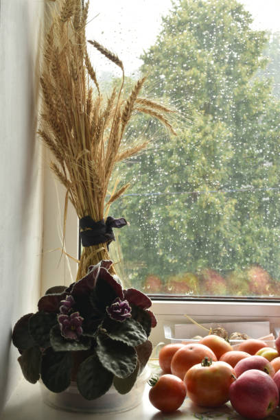 istock Vegetables and a sheaf of wheat on the window sill. 1684516145