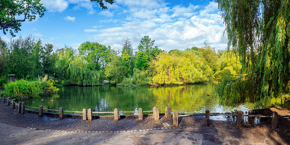 Panorama of a beautiful park with trees and natural vegetation reflected in a pond in the charming town of Orpington in London