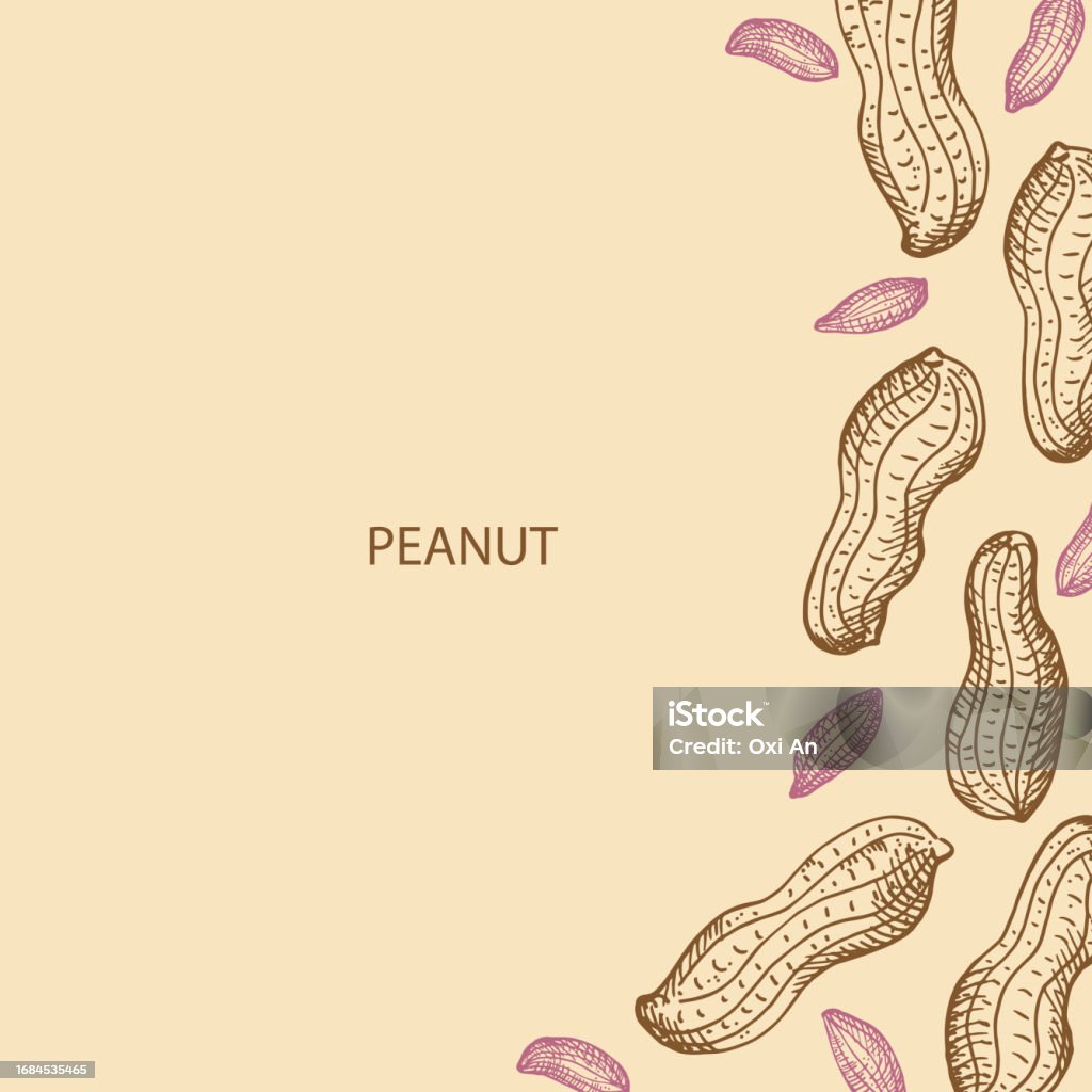 Groundnuts Label Design Peanut Nuts Frame Label Background For Text Border With Engraved ...