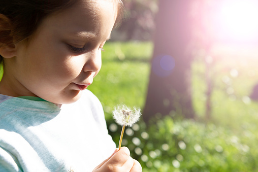 Little girl busy blowing dandelion seeds In the park.