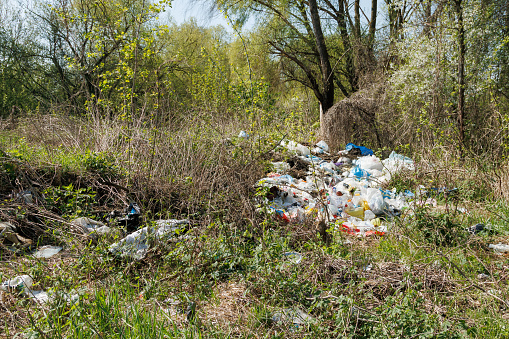 Terrible landfill in the woods. Concept of anthropogenic pollution of forests and nature. There's a lot of rubbish in the forest